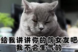 完蛋吧我的七夕,完蛋吧我的爱情奇幻之旅