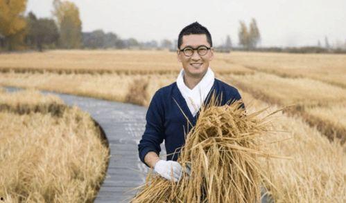 1986我靠种田成就传奇,种田奇才，谱写传奇农业篇章