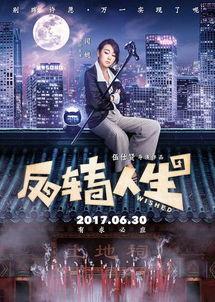 我的反转人生,一场跨越时空的奇妙反转之旅